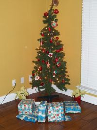 christmas_day_2011_1.JPG